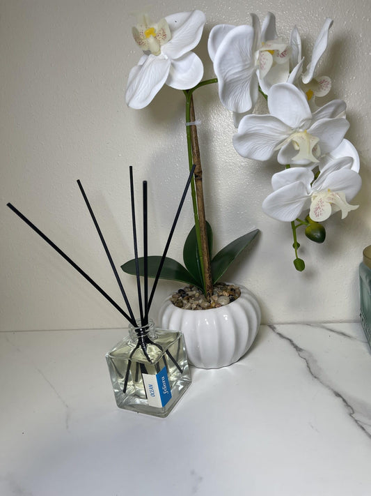 Reed Diffuser 100ml Choose Your Scent