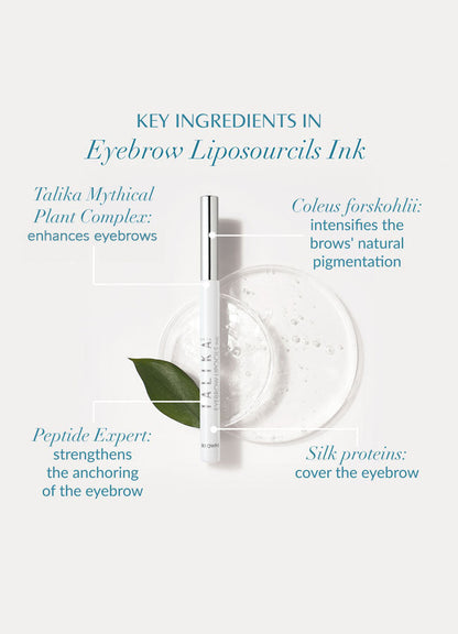 Eyebrow Liposourcils Ink Chestnut