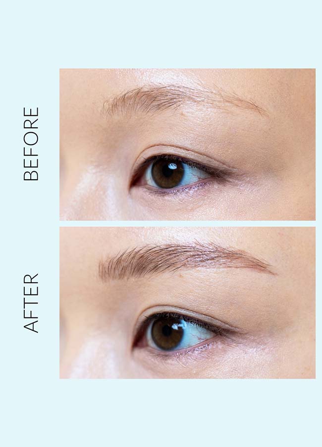 Eyebrow Liposourcils Ink Chestnut