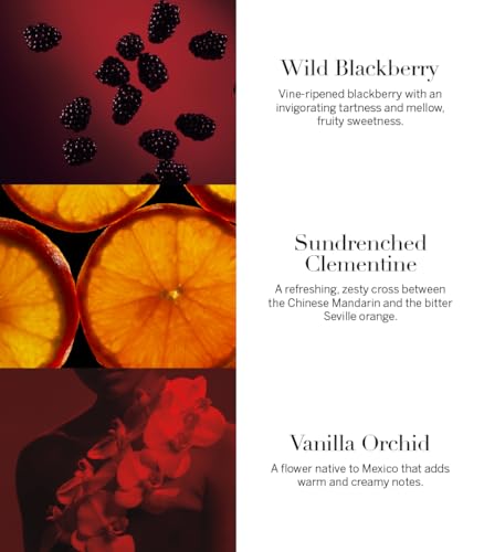 Victoria's Secret Eau de Parfum Rollerball, Travel Size Mini Perfumes for Women